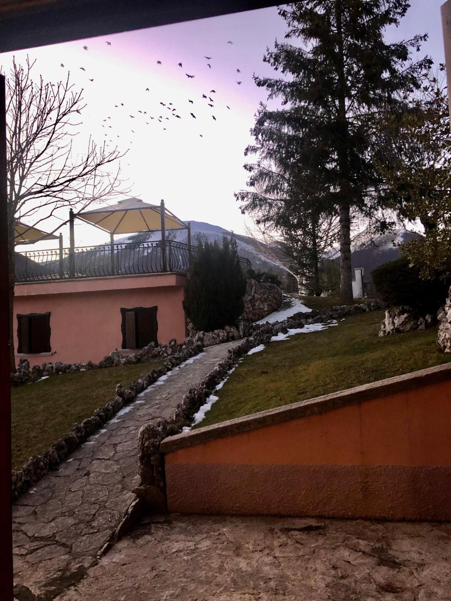 פסקאסרולי Hotel Bucaneve מראה חיצוני תמונה